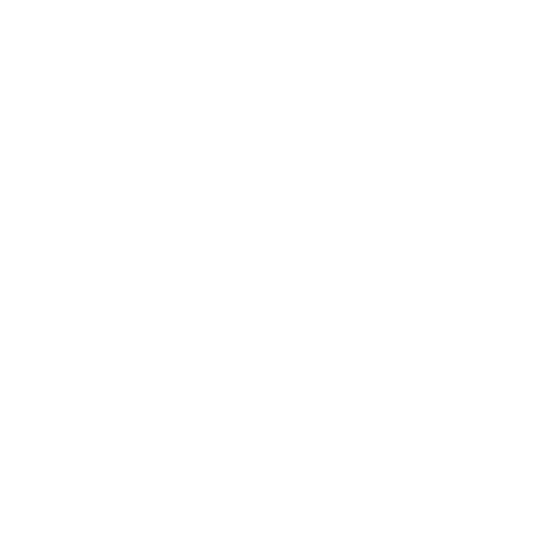 Marketing-wiz-client-Budget-bins-logo